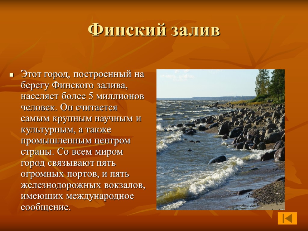 Финский залив Этот город, построенный на берегу Финского залива, населяет более 5 миллионов человек.